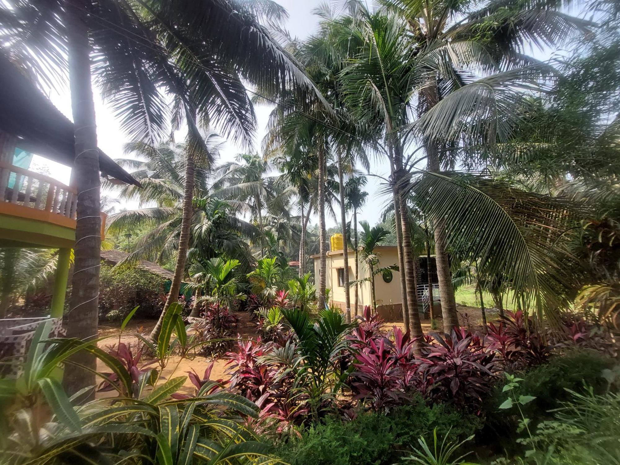Areca Nest Villa Gokarna  Eksteriør bilde