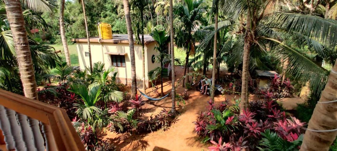 Areca Nest Villa Gokarna  Eksteriør bilde